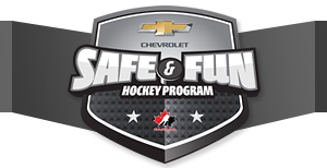 Safe and Fun Hockey 2013