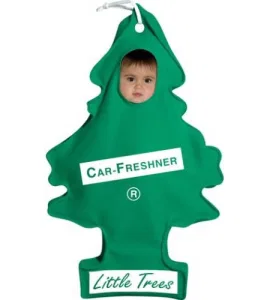 car freshener costume